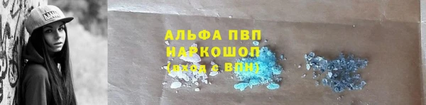 мдпв Гусь-Хрустальный