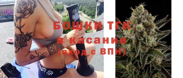 Альфа ПВП Богородицк