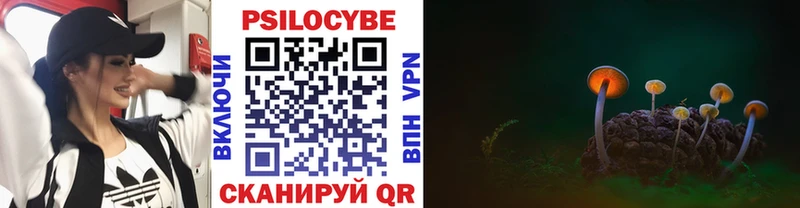 Псилоцибиновые грибы мицелий  Магас 