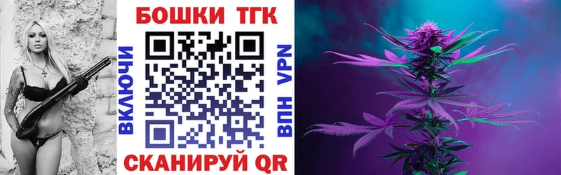 как найти закладки  Магас  Шишки марихуана VHQ 